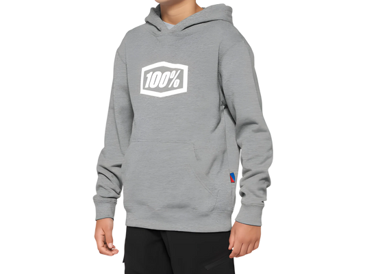 100% Icon Youth Hoodie