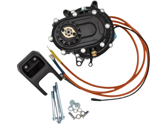 RAWRR Mantis X Motor - eMoto motor - mx4ever