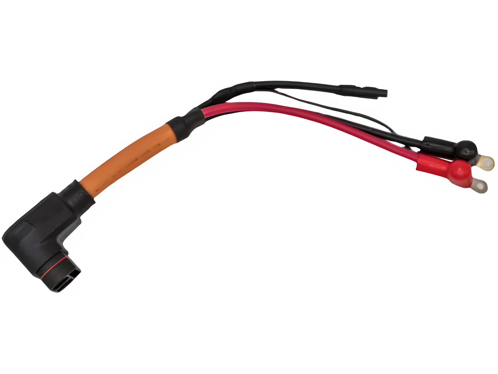 RAWRR Mantis X Power Cable - Electric bike parts - mx4ever